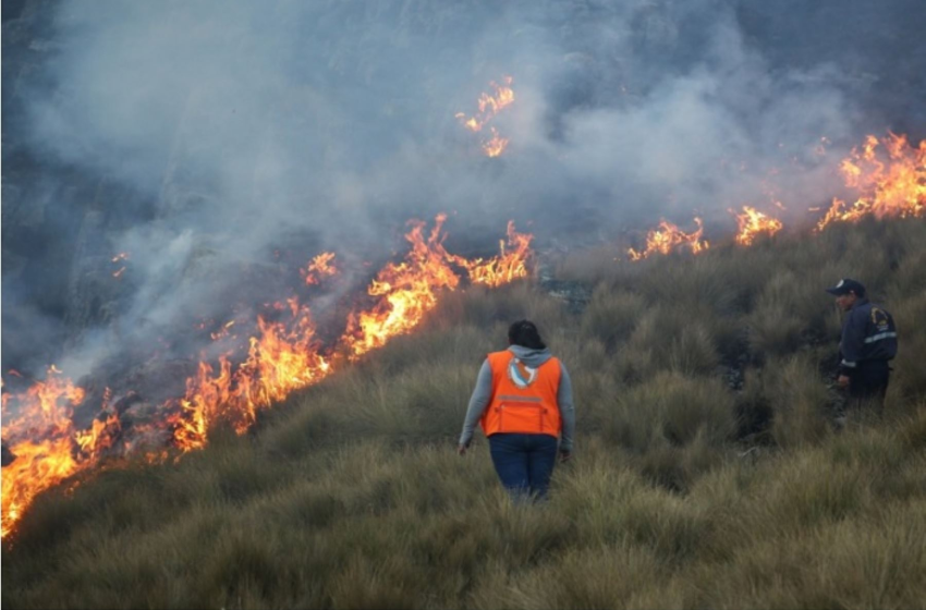  Incendios forestales en Perú: Crisis en la Amazonía y Sierra