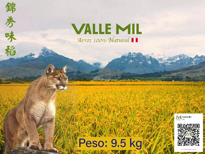  Valle Mil: arroz con sabor a Jinxiu