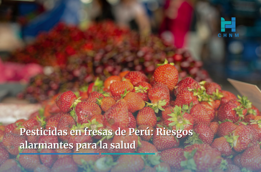  Pesticidas en fresas de Perú: Riesgos alarmantes para la salud