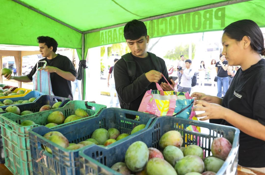  Mangos Peruanos: El Dulzor que Conquista el Mundo