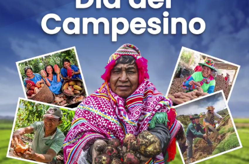 Presidencia rinde homenaje a agricultores en el Día del Campesino
