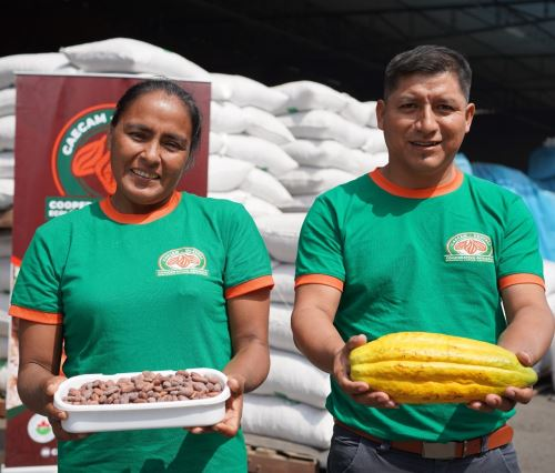 Perú fortalece exportación de cacao orgánico con estándares internacionales