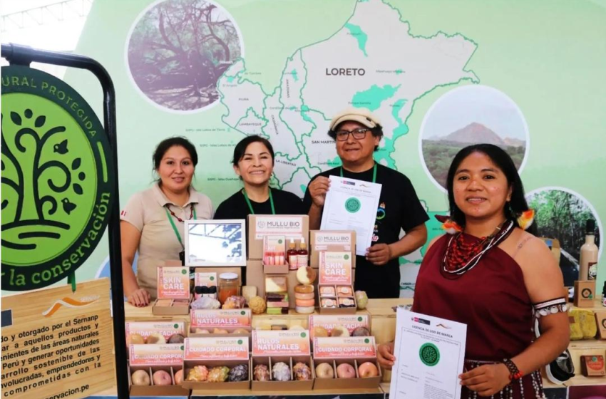  StartUp Perú supera 1.000 proyectos financiados desde 2014