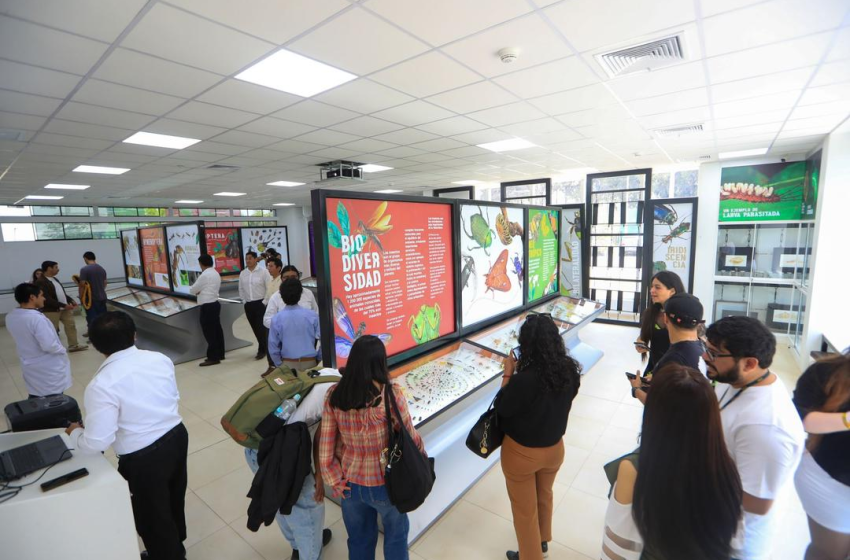  La UNALM inaugura museo de insectos con enfoque educativo